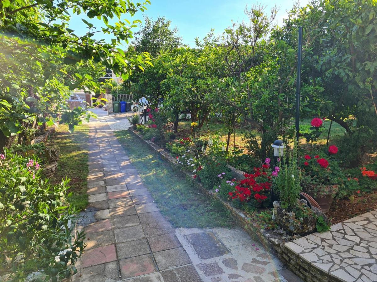 מדולין Apartments & Rooms Tom מראה חיצוני תמונה